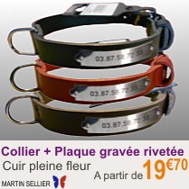 collier_chien_rivetes